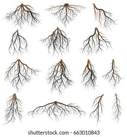 Set of tree roots. vector Illustration.