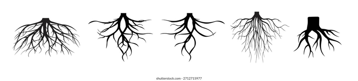 set of tree roots vector silhouette