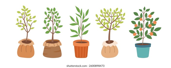 Set of tree seedlings isolated on white background. Spring, gardening and ecology concept. Save the planet concept. Vector flat illustration. 