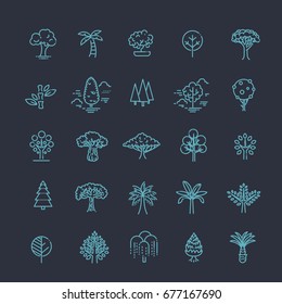 Set of Tree shape Vector Line Icons