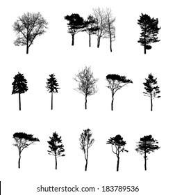 Set of Tree Silhouette Isolated on White Backgorund. Vector Illustration