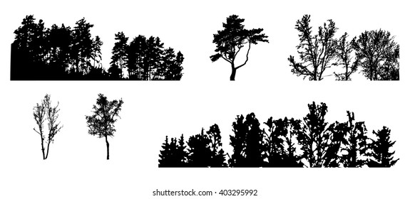 Set of Tree Silhouette Isolated on White Backgorund. Vecrtor Illustration. EPS10