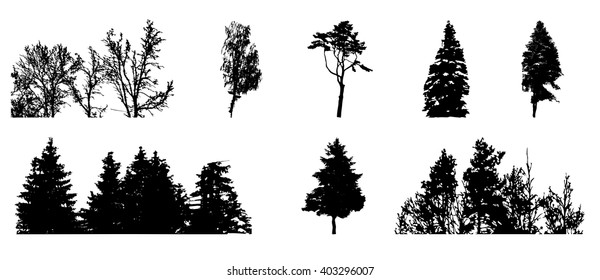 Set of Tree Silhouette Isolated on White Backgorund. Vecrtor Illustration. EPS10