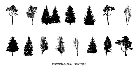 Set of Tree Silhouette Isolated on White Backgorund. Vecrtor Illustration. EPS10