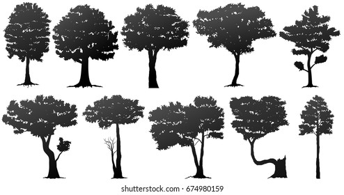 set of tree silhouette on white background. Vector illustration.