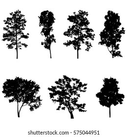 set of tree silhouette vector