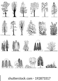 A set of tree silhouettes , for architectural or landscape design, black and white