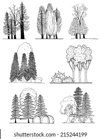 A set of tree silhouettes , for architectural or landscape design