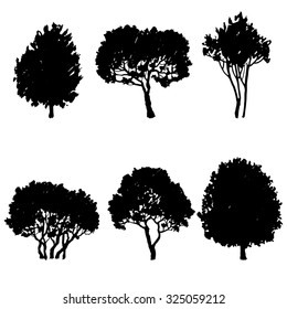 set of tree silhouettes, deciduous trees and bushes, hand drawn vector design elements