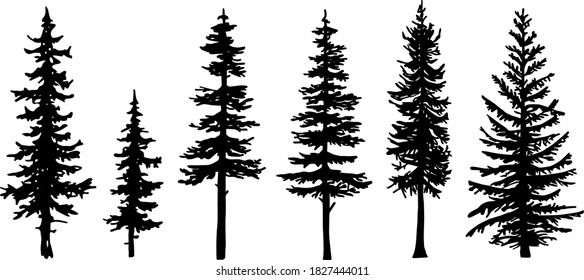 Similar Images, Stock Photos & Vectors of Pacific northwest old growth ...