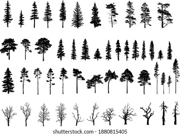 Set of tree silhouettes of different types and shapes isolated on white background. Illustration.