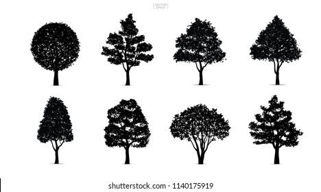 Set of tree silhouettes isolated on white background for landscape design and architectural compositions with backgrounds. Vector illustration.