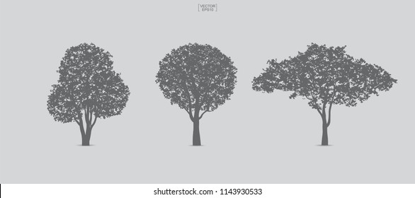 Set of tree silhouettes isolated on white background for landscape design and architectural compositions with backgrounds. Vector illustration.