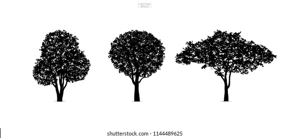 Set of tree silhouettes isolated on white background for landscape design and architectural compositions with backgrounds. Vector illustration.