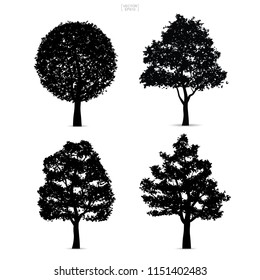 Set of tree silhouettes isolated on white background for landscape design and architectural compositions with backgrounds. Vector illustration.