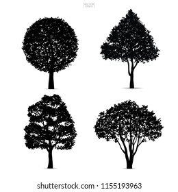 Set of tree silhouettes isolated on white background for landscape design and architectural compositions with backgrounds. Vector illustration.