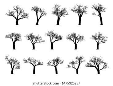 Set of tree silhouettes on a white background. Vector illustration.