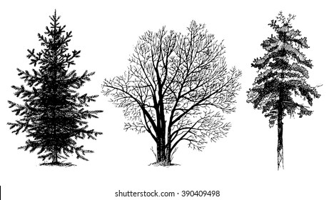 Set of tree silhouettes. Shading painting. Vector