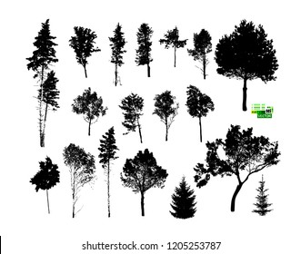 Set of tree silhouettes. Vector