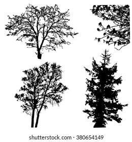 Set of tree silhouettes. Vector design elements. Realistic style