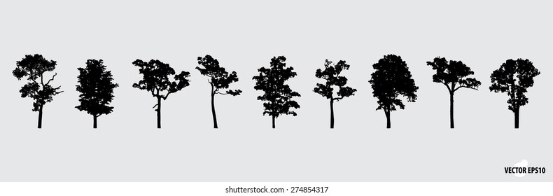 Set of tree silhouettes. Vector illustration.