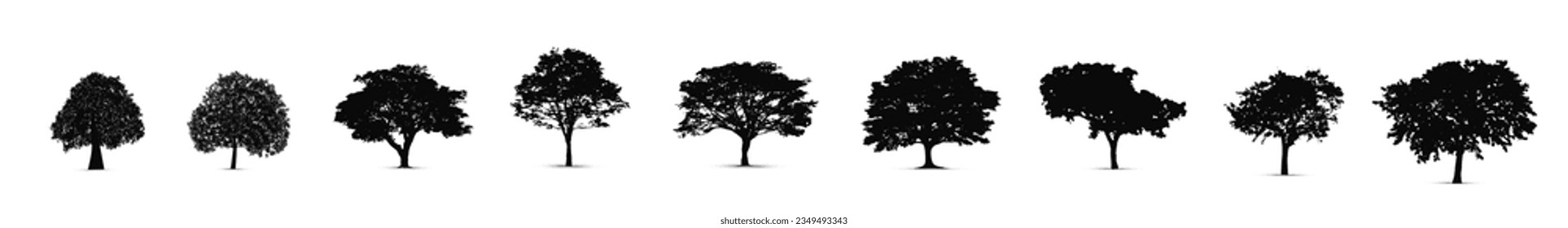 Set of tree silhouettes, vector silhouette of tree