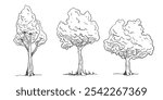 Set of Tree sketch hand drawn outline style. vector illustration. 