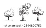 Set of Tree sketch hand drawn outline style. vector illustration.
