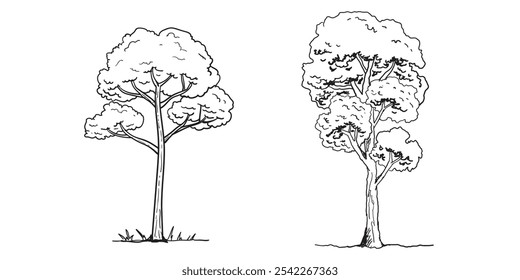 Conjunto de bosquejo de árbol dibujado a mano estilo de contorno. Ilustración vectorial. 