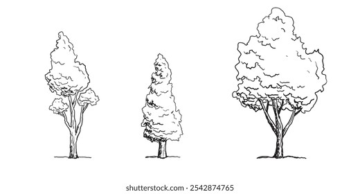 Set of Tree sketch hand drawn outline style. vector illustration. 