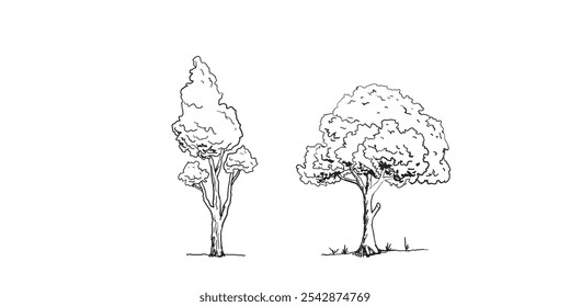 Set of Tree sketch hand drawn outline style. vector illustration. 