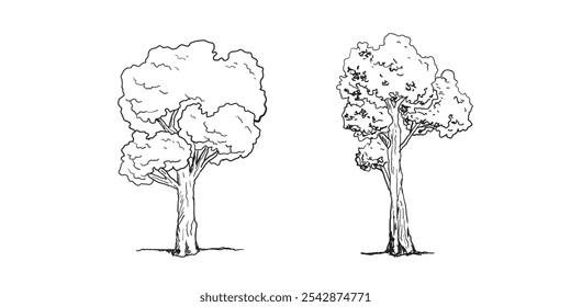 Conjunto de bosquejo de árbol dibujado a mano estilo de contorno. Ilustración vectorial. 