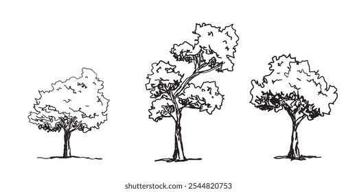 Satz von Baum Skizze handgezeichnete Umrissart. Vektorgrafik.
