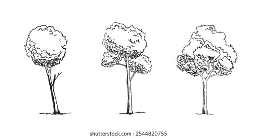 Set of Tree sketch hand drawn outline style. vector illustration.
