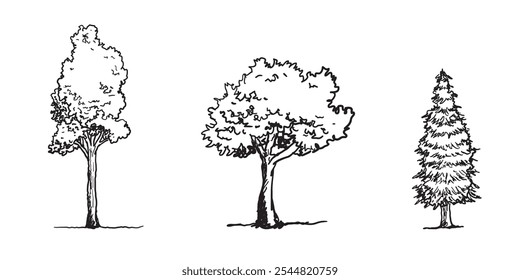 Conjunto de bosquejo de árbol dibujado a mano estilo de contorno. Ilustración vectorial.

