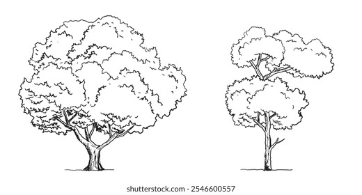 Set of Tree sketch hand drawn outline style. vector illustration. 