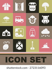 Set Tree stump, Cloud with rain, Hippo or Hippopotamus, Hiking backpack, Safari car, African tree, Shirt and Monkey icon. Vector