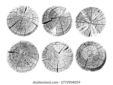 Set of tree stump prints isolated on white. Wooden silhouette. Wood texture with concentric rings. Wood in cross section. Tree ring pattern. Black and white wooden annual rings textures