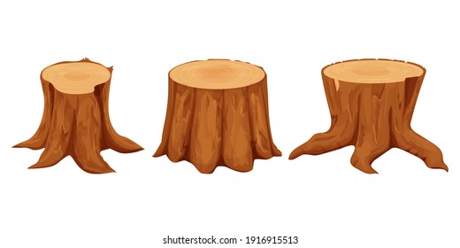 Set of tree stumps detailed, textured in cartoon style isolated on white background stock vector illustration. Chopped parts, carpentry materials. 