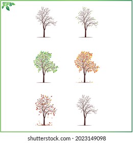 set of tree vector illustrations with flat design concept