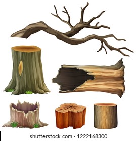 Set of tree wood illustration