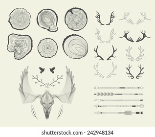 Set with tree-rings, arrows, antlers. Vector graphics.