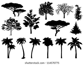 Set Trees