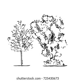 Set of trees. Black and white in silhouettes.