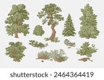 Set of trees and bushes. Landscape elements. Vector vintage illustration.