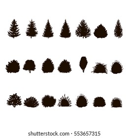  Set Of Trees And Bushes Silhouette  Isolated On White Backgorund. Dendrology Collection. Graphic Template. Vector Illustration..