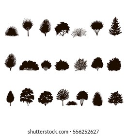  set of Trees and bushes silhouette  isolated on white backgorund. dendrology collection. graphic template. vector illustration.