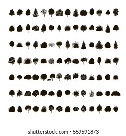  set of Trees and bushes silhouette  isolated on white backgorund. dendrology collection. graphic template. vector illustration.