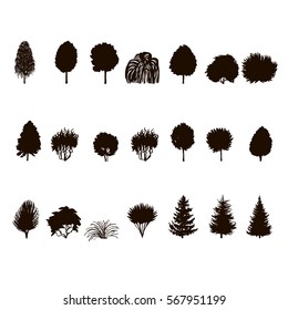  set of Trees and bushes silhouette  isolated on white backgorund. dendrology collection. graphic template. vector illustration.