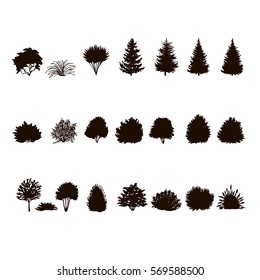  Set Of Trees And Bushes Silhouette  Isolated On White Backgorund. Dendrology Collection. Graphic Template. Vector Illustration.